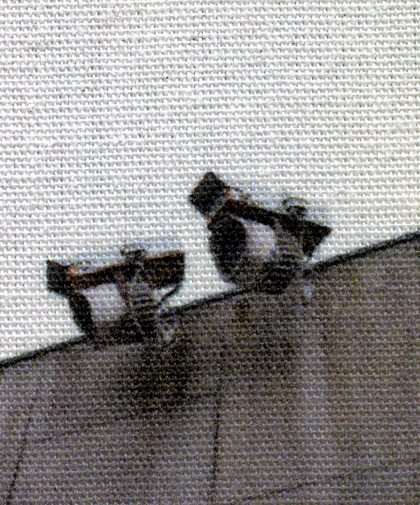 Soft Surveillance