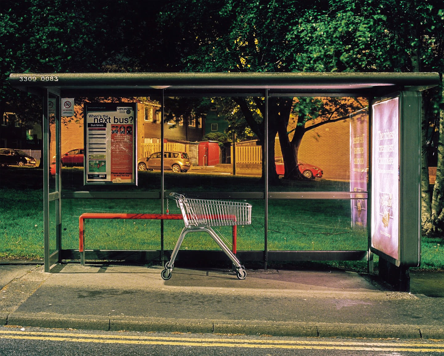 These Northern Lights