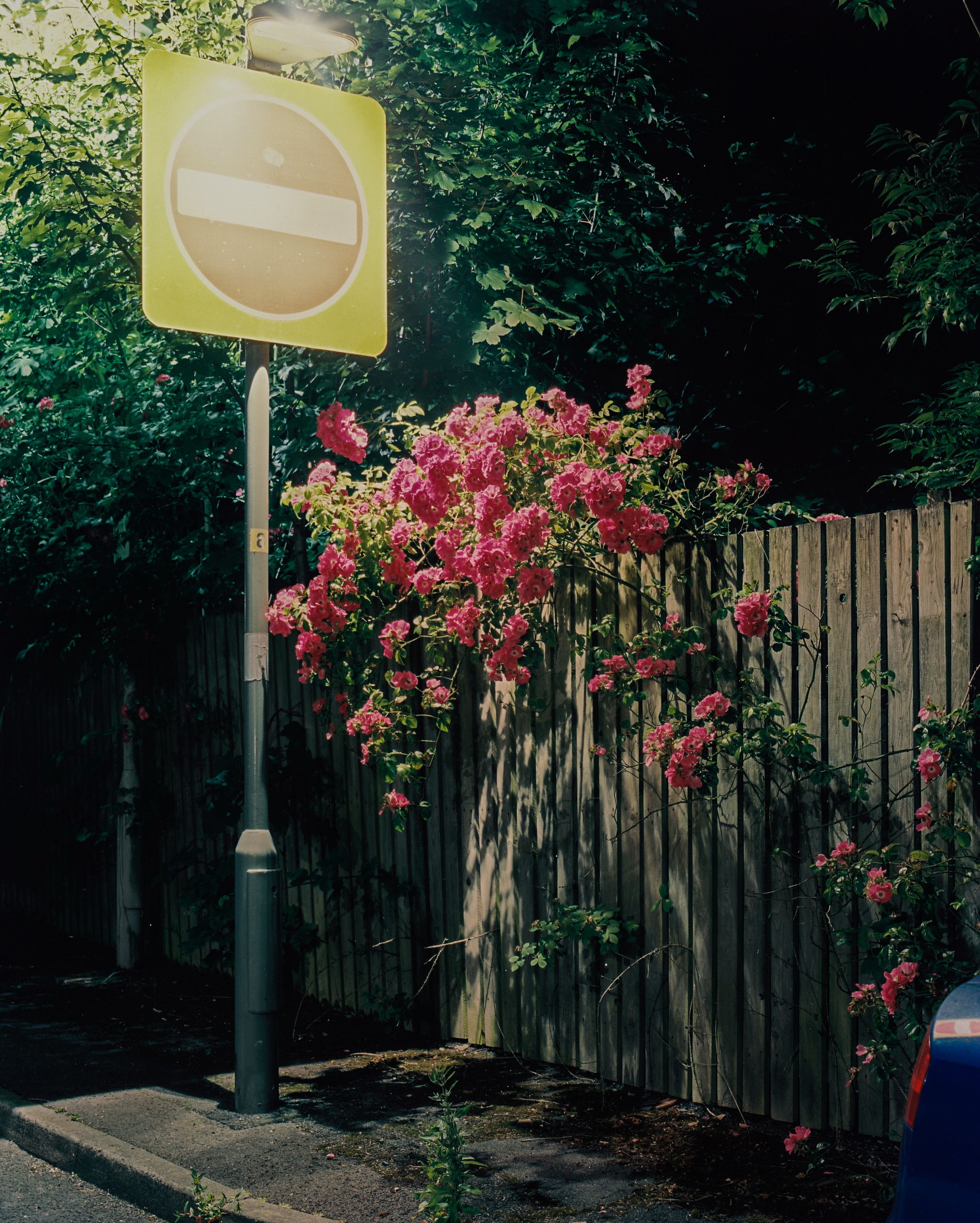 These Northern Lights detail 4